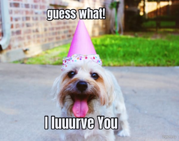 guess what!... I luuurve You