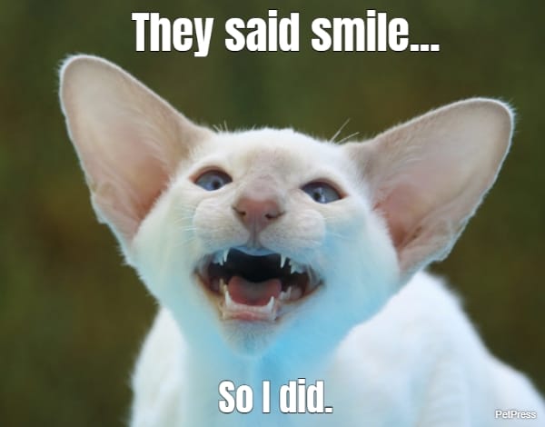 They said smile...... So I did.
