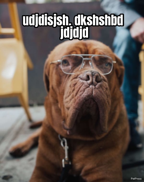 udjdisjsh. dkshshbd  jdjdjd