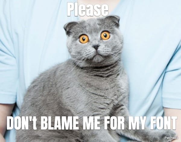 Please... DON't BLAME ME FOR MY FONT