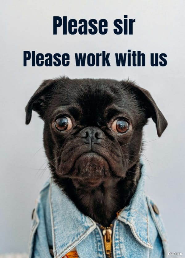 Please sir... Please work with us