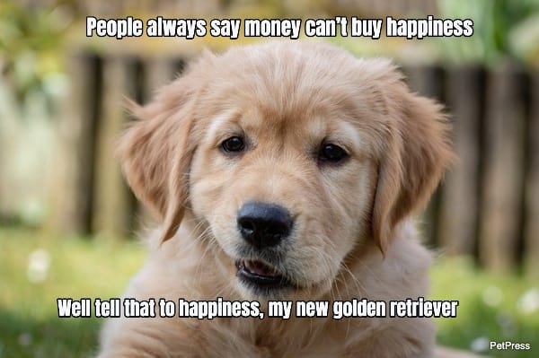 People always say money can’t buy happiness... Well tell that to happiness, my new...