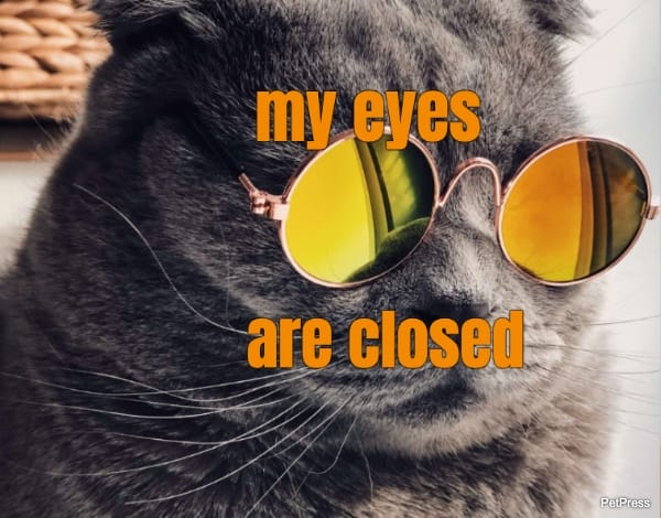 my eyes... are closed