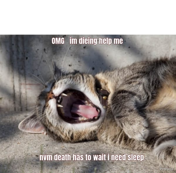 OMG   im dieing help me... nvm death has to wait i need sleep