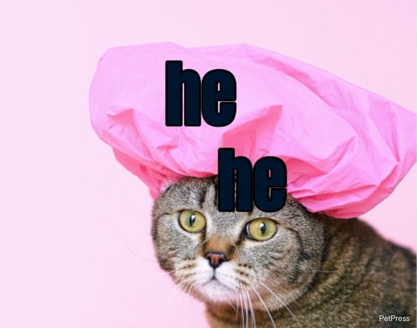 he... he