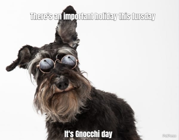 There's an important holiday this fursday... It's Gnocchi day 