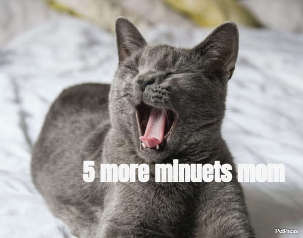 ... 5 more minuets mom