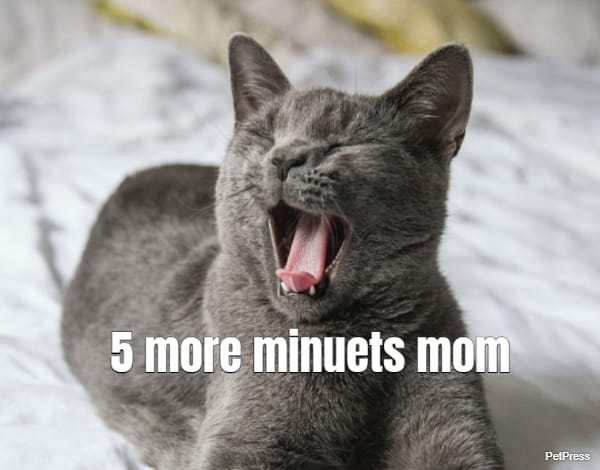 5 more minuets mom