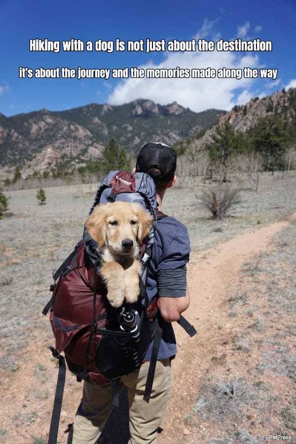 hiking-with-a-dog-is-not-just-about-the-destination-its-about-the-journey-and-the-181821-1