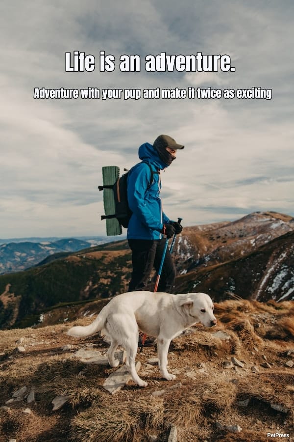 life-is-an-adventure-adventure-with-your-pup-and-make-it-twice-as-exciting-181823-1