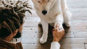 no-one-appreciates-the-very-special-genius-of-your-conversation-as-the-dog-does-181936-1